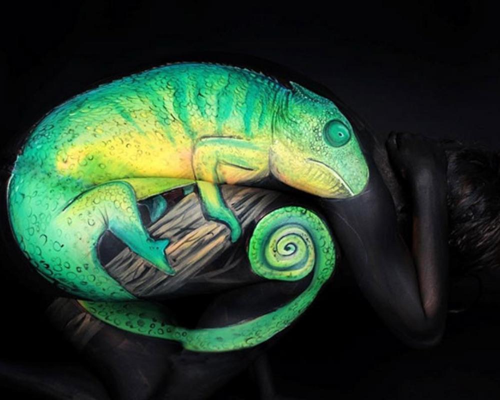 This chameleon does anything but blend into the background